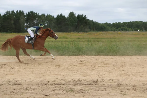 Yoshkar-Ola, RUSSIA, 29 de julho de 2018: Corrida de cavalos e salto — Fotografia de Stock