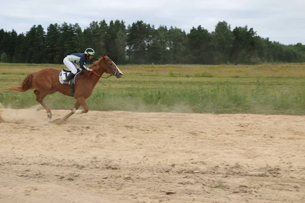 Yoshkar-Ola, RUSIA, 29 de julio de 2018: Carreras de caballos y saltos —  Fotos de Stock