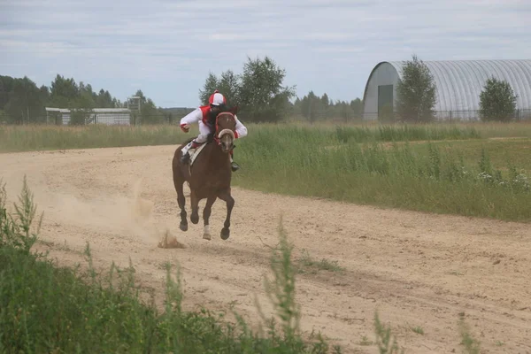 Yoshkar-Ola, RUSSIA, 29 de julho de 2018: Corrida de cavalos e salto — Fotografia de Stock