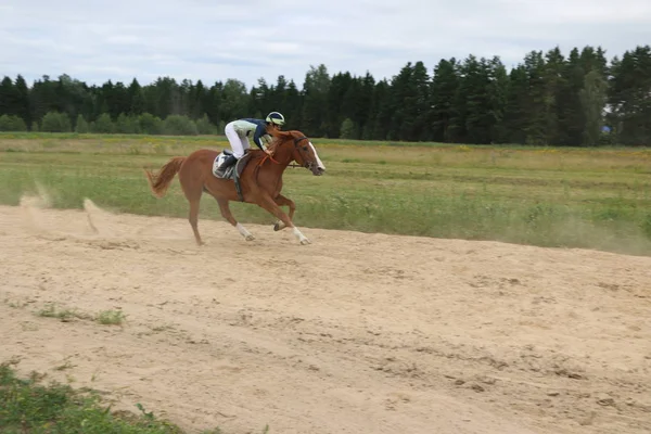 Yoshkar-Ola, RUSSIA, July 29, 2018: Horse racing and jumping on — Stock Photo, Image