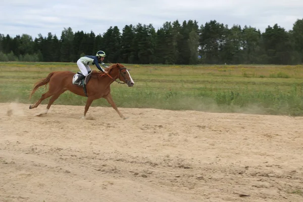 Yoshkar-Ola, RUSIA, 29 de julio de 2018: Carreras de caballos y saltos —  Fotos de Stock