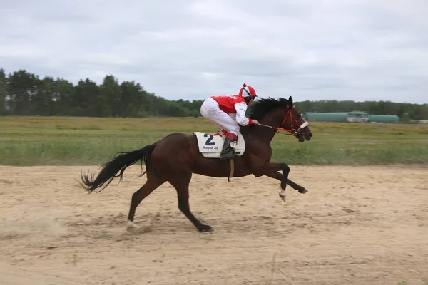 Yoshkar-Ola, RUSSIA, 29 de julho de 2018: Corrida de cavalos e salto — Fotografia de Stock