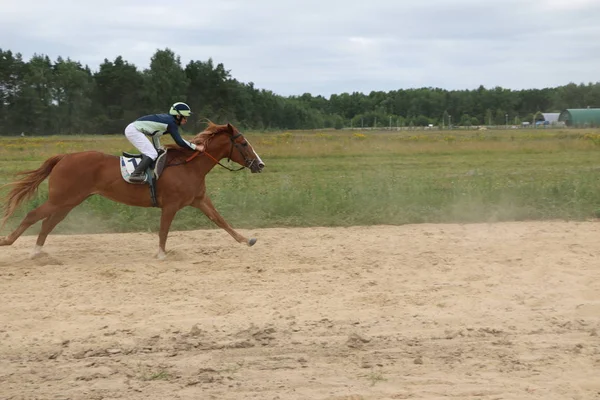 Yoshkar-Ola, Ryssland, 29 juli 2018: Hästkapplöpning och hoppa på — Stockfoto