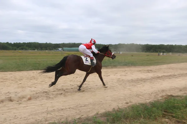 Yoshkar-Ola, RUSSIA, 29 de julho de 2018: Corrida de cavalos e salto — Fotografia de Stock