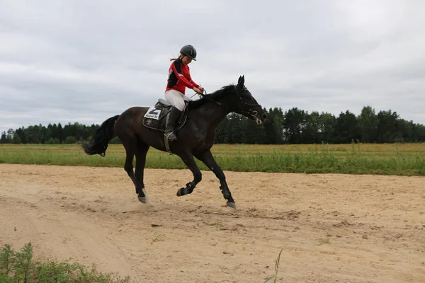 Yoshkar-Ola, Ryssland, 29 juli 2018: Hästkapplöpning och hoppa på — Stockfoto