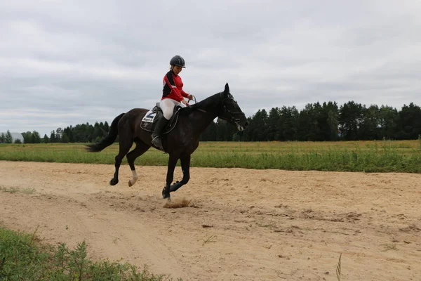 Yoshkar-Ola, RUSIA, 29 de julio de 2018: Carreras de caballos y saltos —  Fotos de Stock