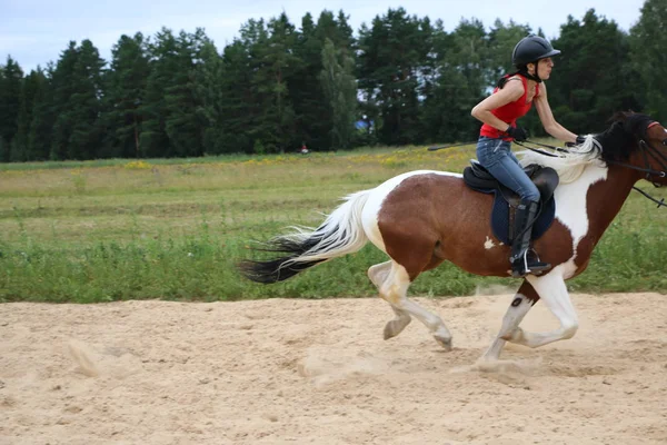 Yoshkar-Ola, RUSIA, 29 de julio de 2018: Carreras de caballos y saltos —  Fotos de Stock