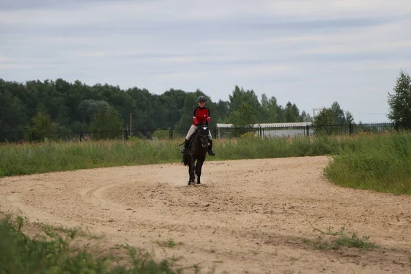 Yoshkar-Ola, RUSSIA, 29 de julho de 2018: Corrida de cavalos e salto — Fotografia de Stock