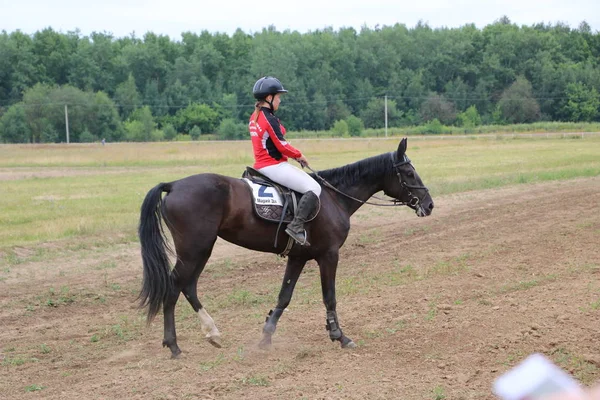 Yoshkar-Ola, RUSSIA, 29 de julho de 2018: Corrida de cavalos e salto — Fotografia de Stock