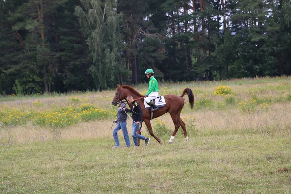 Yoshkar-Ola, RUSIA, 29 de julio de 2018: Carreras de caballos y saltos — Foto de Stock