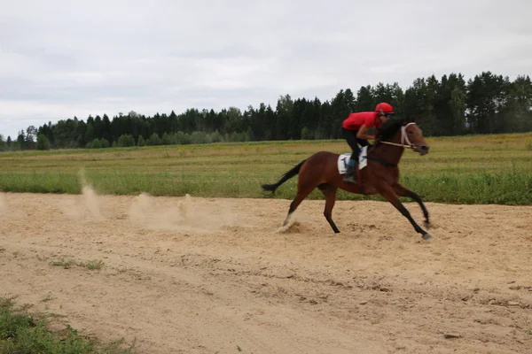 Yoshkar-Ola, Ryssland, 29 juli 2018: Hästkapplöpning och hoppa på — Stockfoto