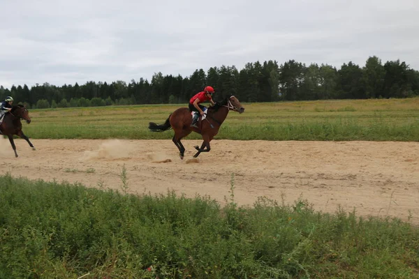 Yoshkar-Ola, RUSSIA, 29 de julho de 2018: Corrida de cavalos e salto — Fotografia de Stock