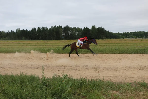 Yoshkar-Ola, Ryssland, 29 juli 2018: Hästkapplöpning och hoppa på — Stockfoto