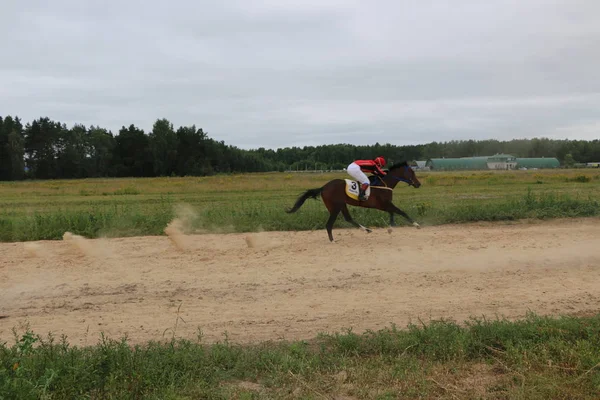 Yoshkar-Ola, RUSIA, 29 de julio de 2018: Carreras de caballos y saltos —  Fotos de Stock