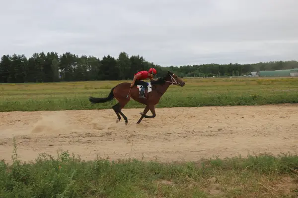 Yoshkar-Ola, RUSIA, 29 de julio de 2018: Carreras de caballos y saltos —  Fotos de Stock