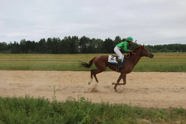 Yoshkar-Ola, RUSIA, 29 de julio de 2018: Carreras de caballos y saltos —  Fotos de Stock