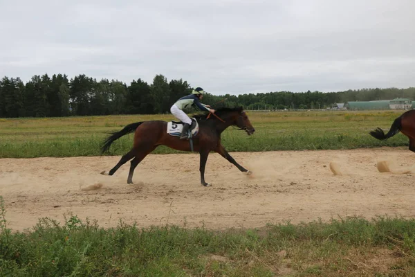 Yoshkar-Ola, Ryssland, 29 juli 2018: Hästkapplöpning och hoppa på — Stockfoto