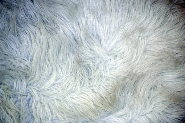 Fluffy texture of  fur for background, design. — Stock Photo, Image