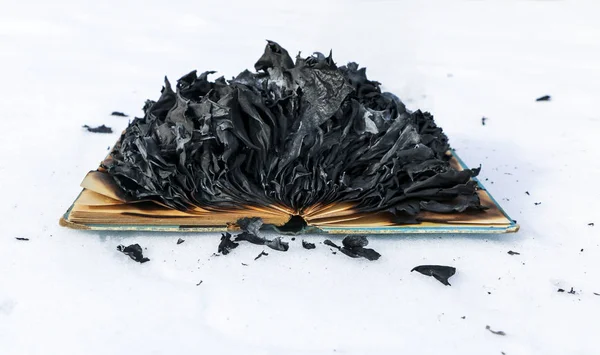 Égető könyv a hóban. oldalak-val szöveg nyitott könyv éget fényes láng. — Stock Fotó
