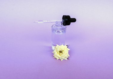 Yağ veya serum ile pipet ile cam şişe, hassas arka planda beyaz gül çiçeği ile. Konsept: organik biyo kozmetik, bitkisel yağlar, serum kollajen, Cilt Bakımı