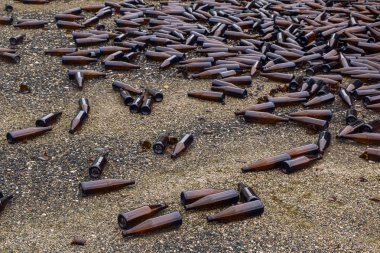 Tüm ve kırık kahverengi şişeler asfalt üzerinde dağınık. Kavram: atık geri dönüşümü, çöp bertaraf