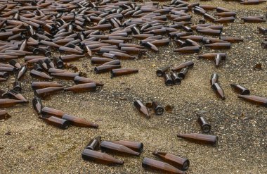 Tüm ve kırık kahverengi şişeler asfalt üzerinde dağınık. Kavram: atık geri dönüşümü, çöp bertaraf