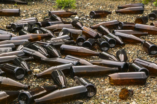 whole and broken brown bottles are scattered on gravel.Concept: