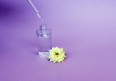 Yağ veya serum ile pipet ile cam şişe, hassas arka planda beyaz gül çiçeği ile. Konsept: organik biyo kozmetik, bitkisel yağlar, serum kollajen, Cilt Bakımı