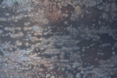 boyanan demir, pas ve korozyon ile kaplı. oyunlar, reklam için arka planlar ve dokular.