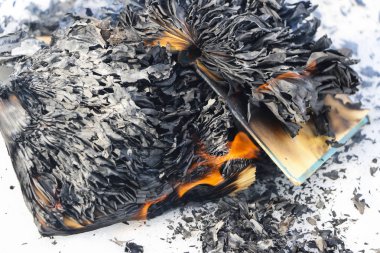 kar kitap yakma. sayfaları'deki kitap yazma ile parlak alev açın..