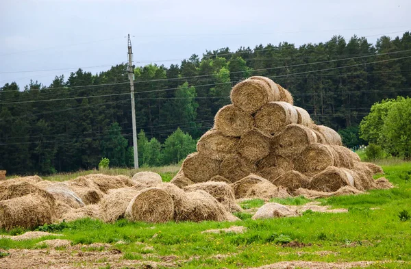 Rollos Dorados Heno Apilados Una Pirámide Encuentran Borde Del Campo —  Fotos de Stock