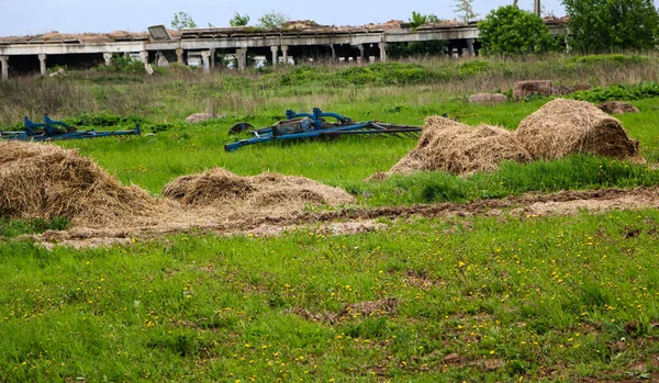 Rollos Dorados Heno Apilados Una Pirámide Encuentran Borde Del Campo —  Fotos de Stock