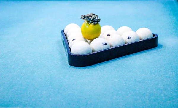 수영장 테이블에 개구리 빌리어드 먼지가 게임에서의 탐욕과 두꺼비 — 스톡 사진