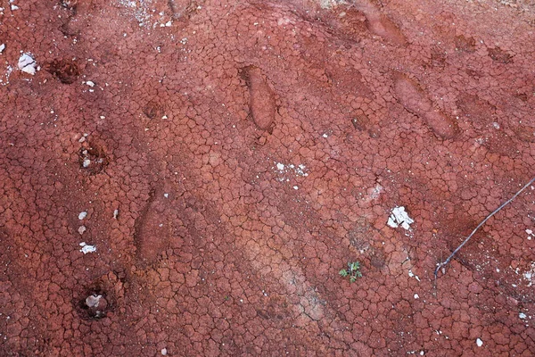 Texturas Várias Camadas Argila Subterrâneas Pedreira Argila Após Estudo Geológico — Fotografia de Stock