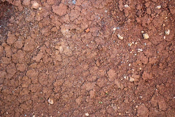 Textures Various Clay Layers Underground Clay Carry Geological Study Soil — Photo