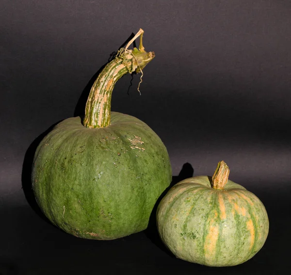 Calabaza Madura Jugosa Brillante Sobre Fondo Oscuro Calabaza Colores Otoño —  Fotos de Stock