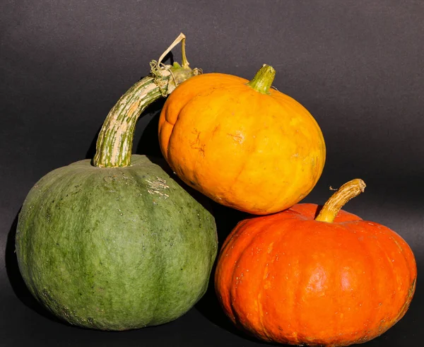 Heller Saftig Reifer Kürbis Auf Dunklem Hintergrund Farbiger Kürbis Herbstreife — Stockfoto