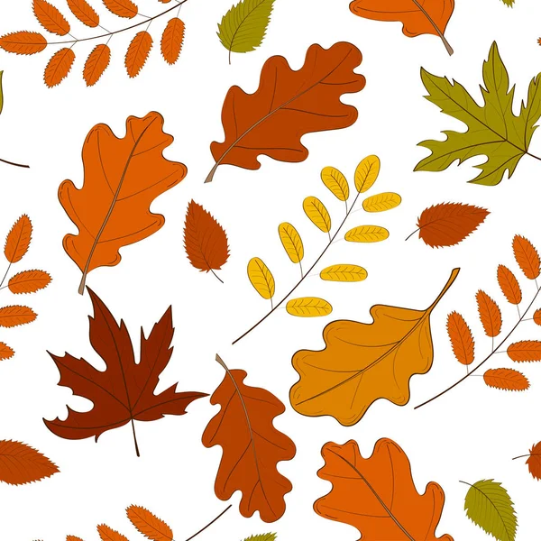 Hand getekende naadloze patroon met gevallen herfst bladeren van verschillende type en kleur op witte achtergrond. Herfst achtergrond met kleurrijke gebladerte. Vectorillustratie voor textiel afdrukken, inpakpapier. — Stockvector