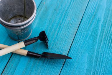 Bahçe aletleri ve sümbül çiçeği. İlkbahar ve yaz bitkileri yetiştirme. Dünya çevre ve doğa yakın arka plan büyüyor.