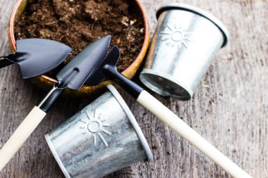 Bahçe aletleri ve sümbül çiçeği. İlkbahar ve yaz bitkileri yetiştirme. Dünya çevre ve doğa yakın arka plan büyüyor.