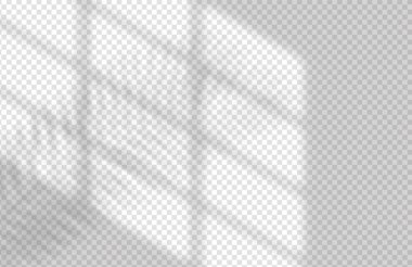 Window and Leaf Realistic Shadow Mock Up Template. Tropical leaf and light from window overlay mockup for social media, banners and advertising. clipart