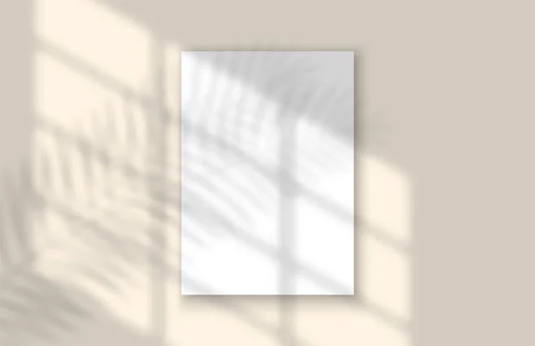 Templat: Window and Leaf Realistic Shadow Mock Up Template (dalam bahasa Inggris). Daun tropis dan cahaya dari mockup overlay jendela untuk media sosial, spanduk dan iklan. - Stok Vektor