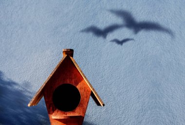 Aile kavramı. Kuş evini yakın çimento duvarda üç kuş gölgelendirme gölgesi. Baba, anne ve çocuk gibi