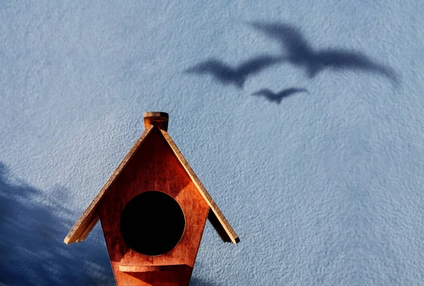 Family Concept. Shadow of Three Birds shading on the Cement Wall nearby the Birdhouse. Like Father, Mother and Child