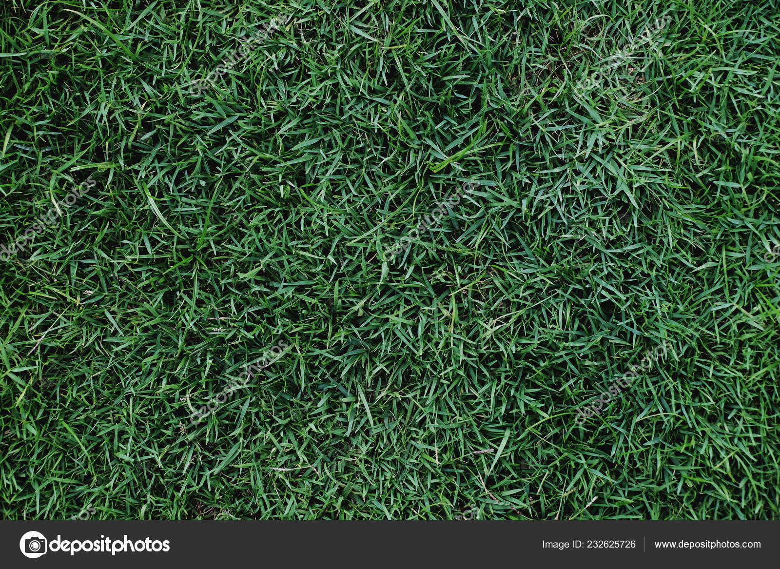 芝生のテクスチャです 緑の草の背景 上から見るとサッカー場のクローズ アップ ストック写真 C Sirinapawannapat Gmail Com 芝生のテクスチャです 緑の草の背景 上から見るとサッカー場のクローズ アップ ストック写真 C Sirinapawannapat Gmail Com