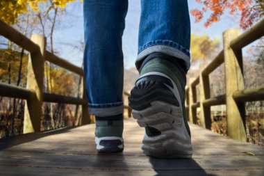 Güz ve sonbahar kavramı bir yolculuk. Ormanda ahşap izinde yürüyen genç Traveler düşük bölümü. Karınca gözleri görünümü atış