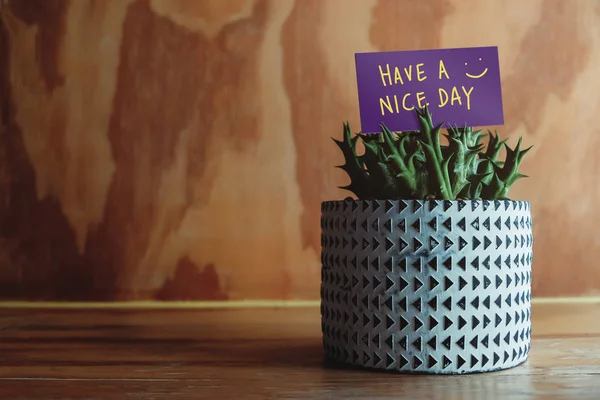 Positive Mind for Daily Life Concept. Have a Nice Day Text on Paper Card in Small Cactus Pot Decorated on Wooden Table