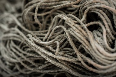 Evi Temizledikten Sonra Kirli Paspasın Kapatılması. Ev İşi Ekipmanları