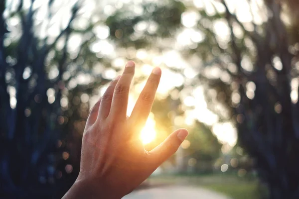 Life concept. De hand van de mens omhoog in de lucht tijdens zonsondergang. Bl — Stockfoto