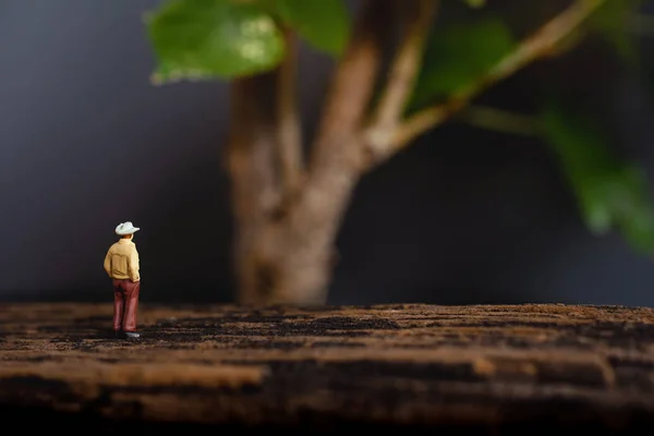 Landbouw Ecologie Concept Miniatuur Senior Famer Kijken Naar Giant Tree — Stockfoto